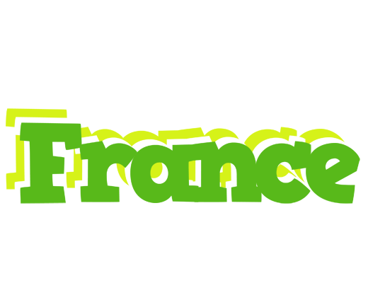 France picnic logo