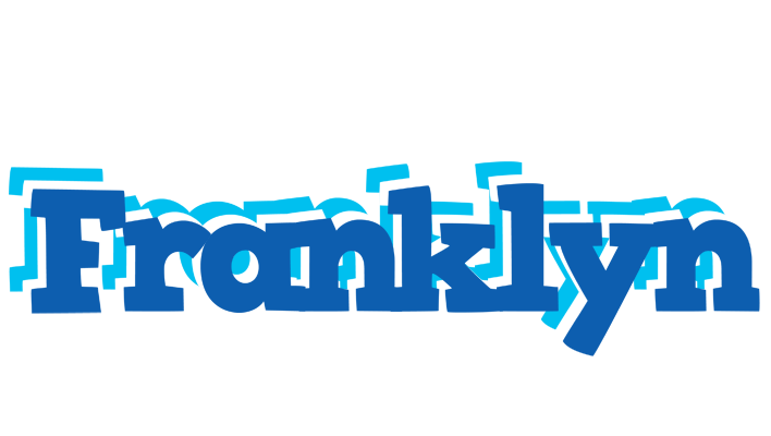 Franklyn business logo