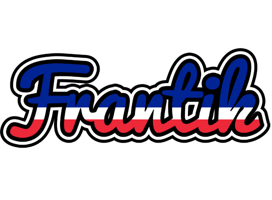 Frantik france logo