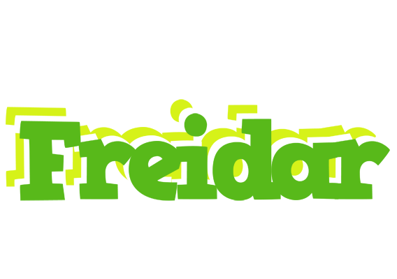 Freidar picnic logo