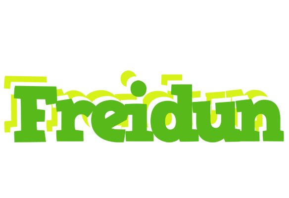 Freidun picnic logo