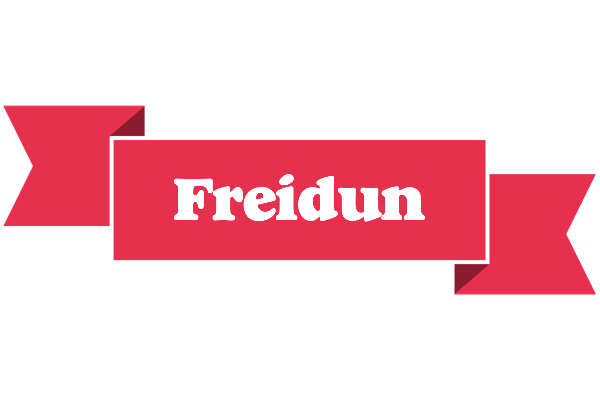 Freidun sale logo