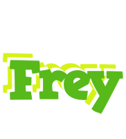 Frey picnic logo