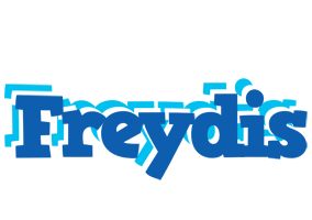 Freydis business logo