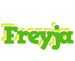 Freyja picnic logo