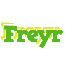 Freyr picnic logo