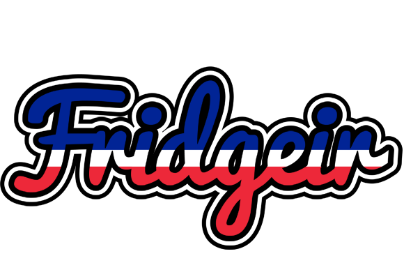 Fridgeir france logo