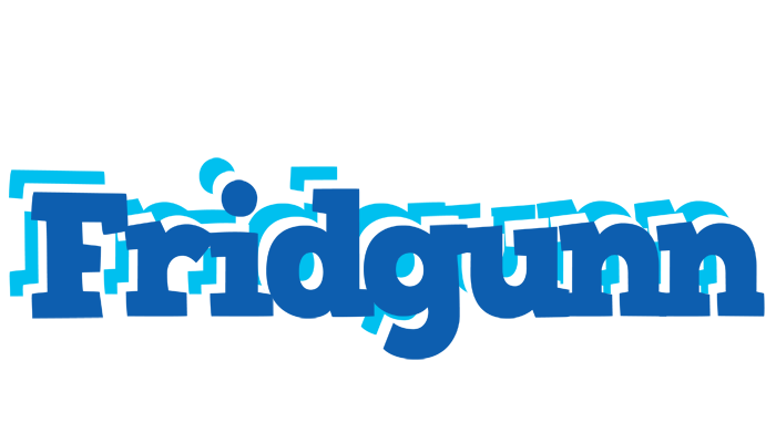 Fridgunn business logo