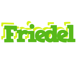 Friedel picnic logo