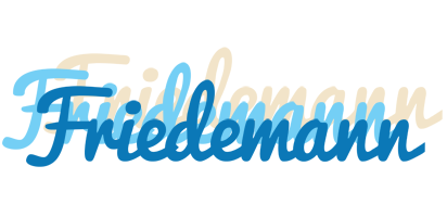 Friedemann breeze logo