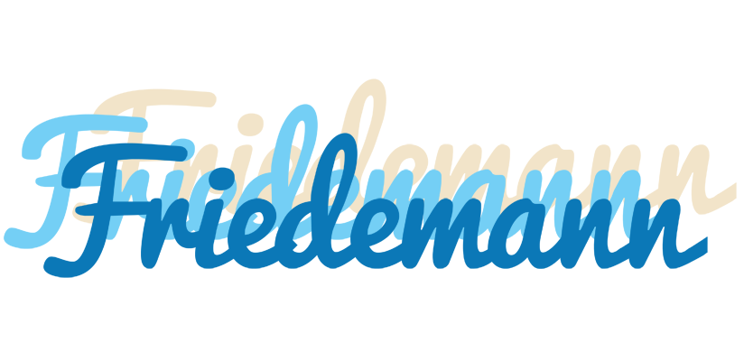 Friedemann breeze logo