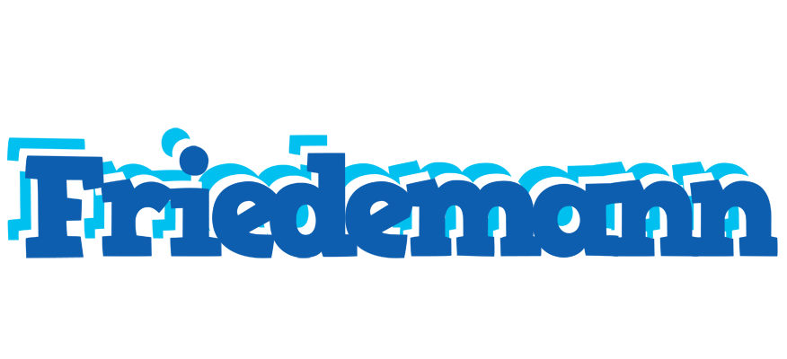 Friedemann business logo