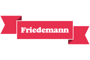 Friedemann sale logo