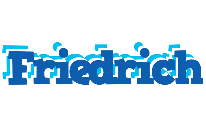 Friedrich business logo