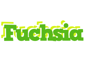 Fuchsia picnic logo