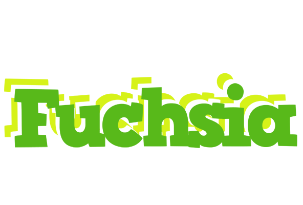 Fuchsia picnic logo