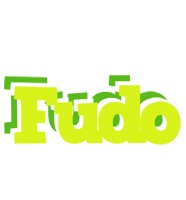 Fudo citrus logo