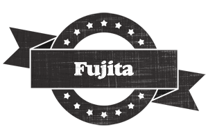 Fujita grunge logo