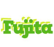 Fujita picnic logo