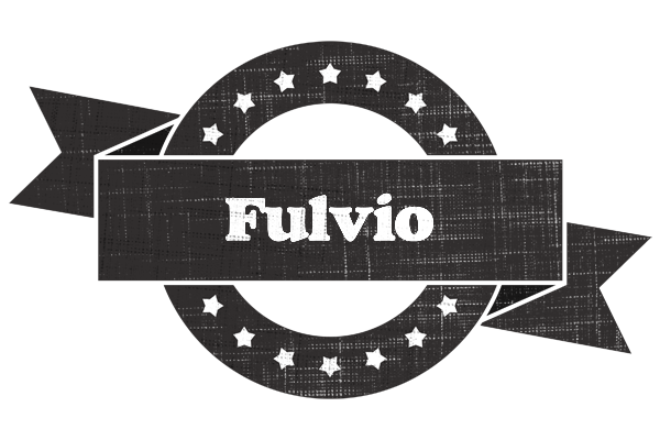 Fulvio grunge logo