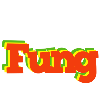Fung bbq logo