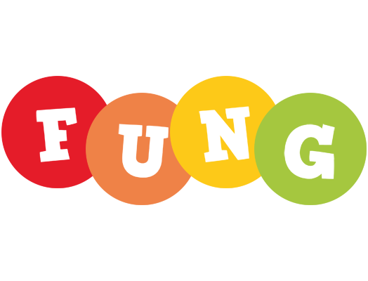 Fung boogie logo