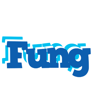 Fung business logo