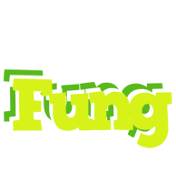 Fung citrus logo