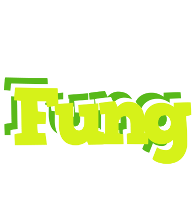 Fung citrus logo