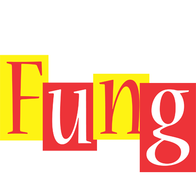 Fung errors logo