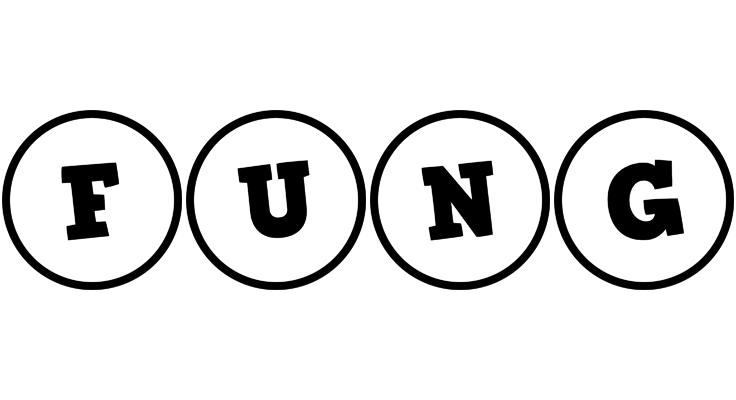 Fung handy logo