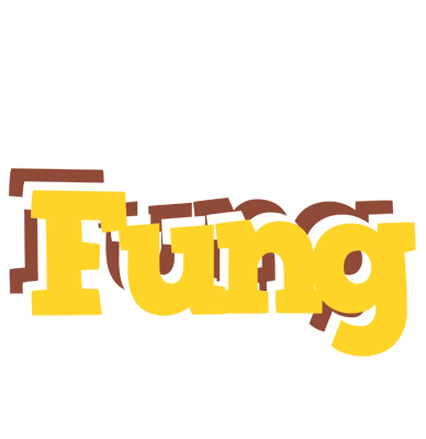 Fung hotcup logo