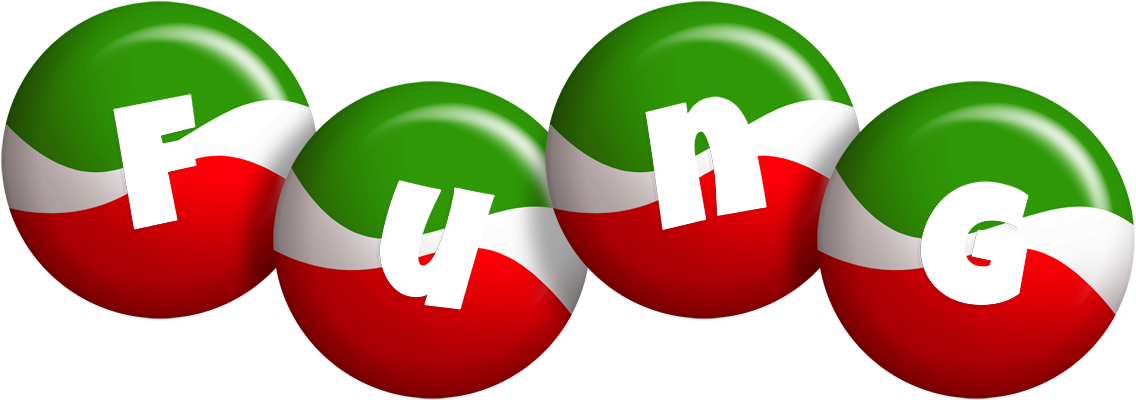Fung italy logo