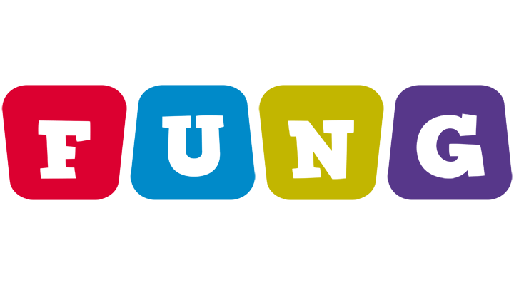 Fung kiddo logo