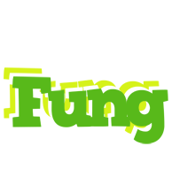 Fung picnic logo