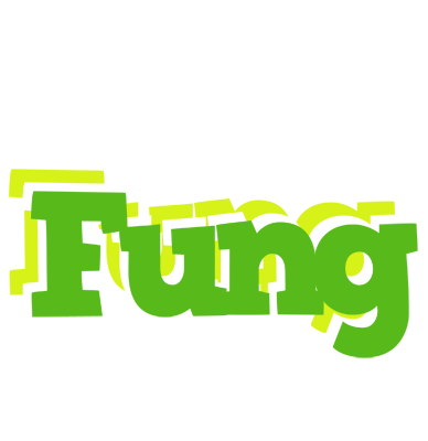 Fung picnic logo