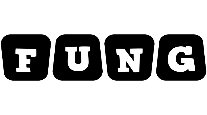 Fung racing logo