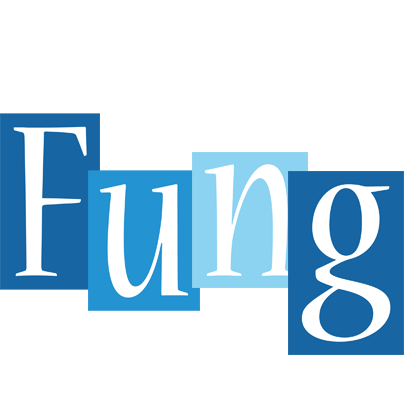 Fung winter logo