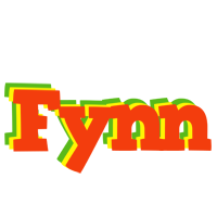 Fynn bbq logo