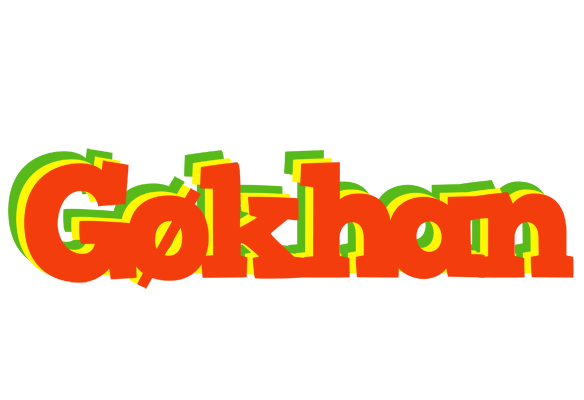 Gøkhan bbq logo