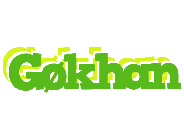 Gøkhan picnic logo