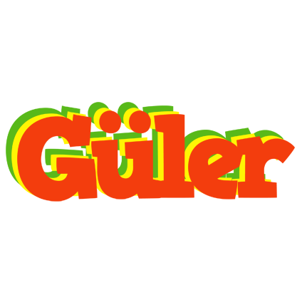 Güler bbq logo