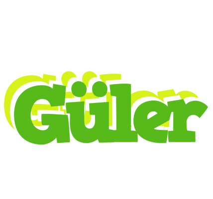 Güler picnic logo