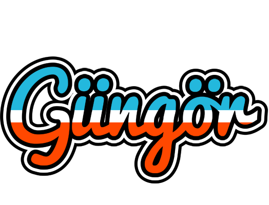 Güngör america logo