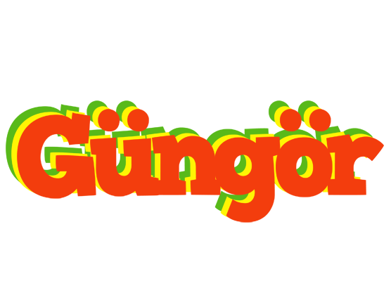 Güngör bbq logo