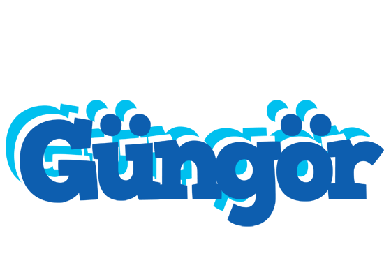 Güngör business logo