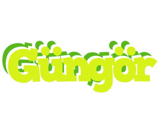 Güngör citrus logo