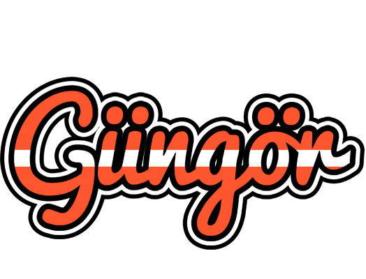 Güngör denmark logo