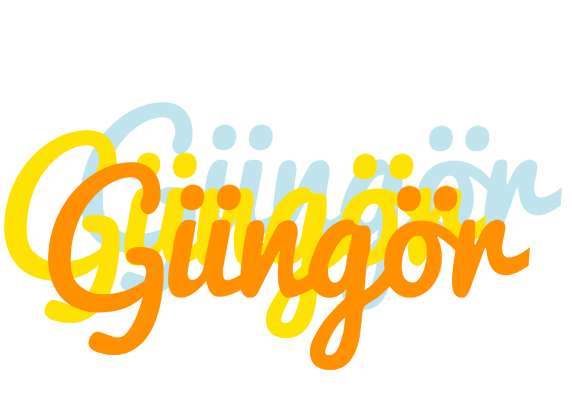 Güngör energy logo