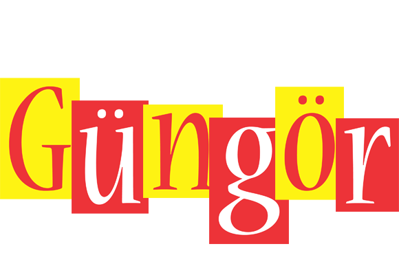 Güngör errors logo